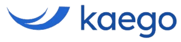 Lead web designer at Kaego